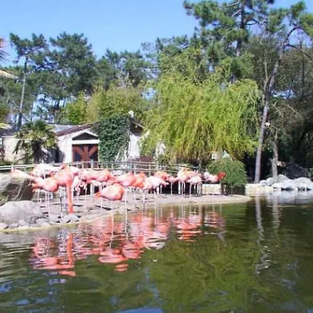 2 Proche De La アパート